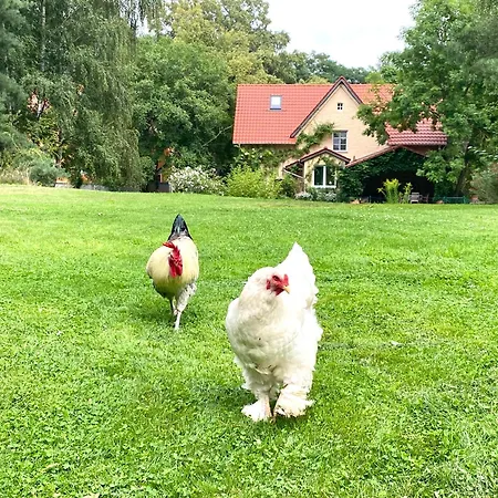 Kersdorf Holiday home